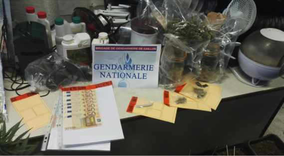 De l'argent et des produits stupéfiants ont été saisis au domicile respectif des mis en cause (photo@gendarmerie)