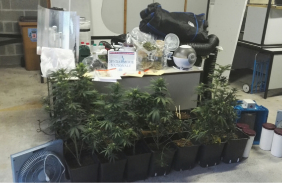 Trafic de drogue démantelé dans l'Eure : cinq jeunes gens arrêtés par les gendarmes de Gaillon