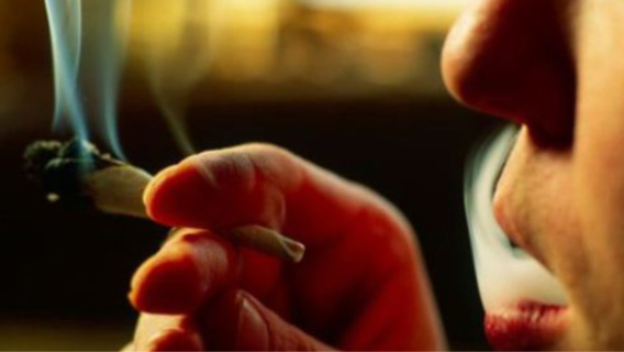 Le compagnon de la mère de la fillette a reconnu fumer des joints de cannabis (Illustration) Le compagnon de la mère de la fillette a reconnu fumer des joints de cannabis (Illustration)
