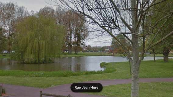 Le Trait. Plusieurs dizaines de poissons morts dans l'étang à cause d'une pollution