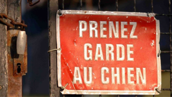 La garde du chien leur avait été confiée par des amis (Illustration) La garde du chien leur avait été confiée par des amis (Illustration)