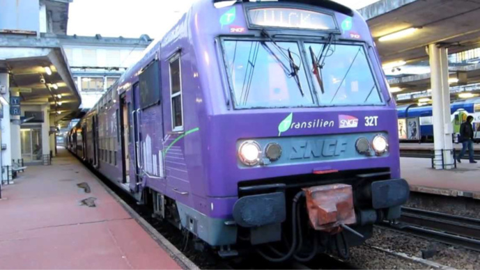 Les faits se sont produits dans une rame du RER (illustration) Les faits se sont produits dans une rame du RER (illustration)