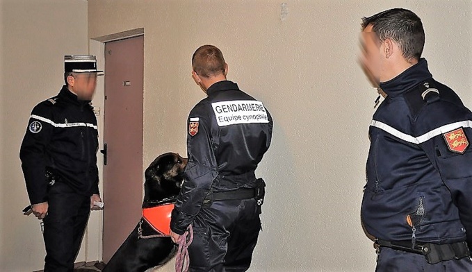 La perquisition des gendarmes avec le chien anti-drogue a été fructueuse (Illustration ©infonormandie)