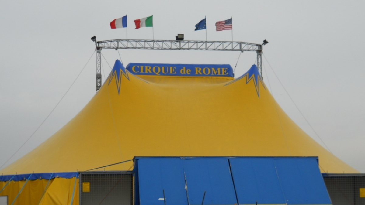 Plaisir : le responsable d'un cirque placé en garde à vue pour exercice de spectacle sans licence 