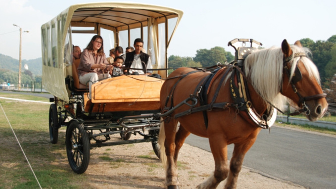 Dès le 1er avril : 70 idées originales de découvrir la nature dans l'Eure Dès le 1er avril : 70 idées originales de découvrir la nature dans l'Eure