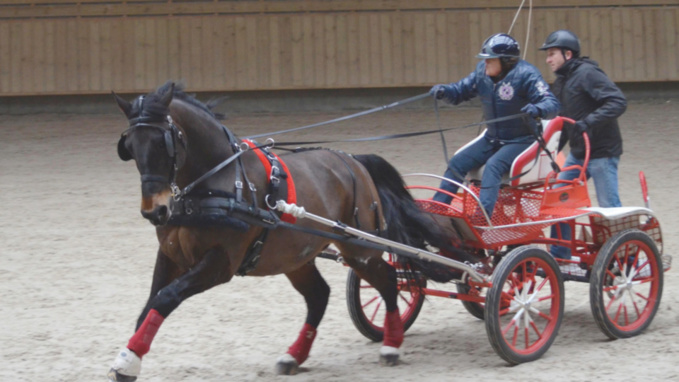 7e édition du concours indoor les 18 et 19 mars : les attelages font sensation à Deauville