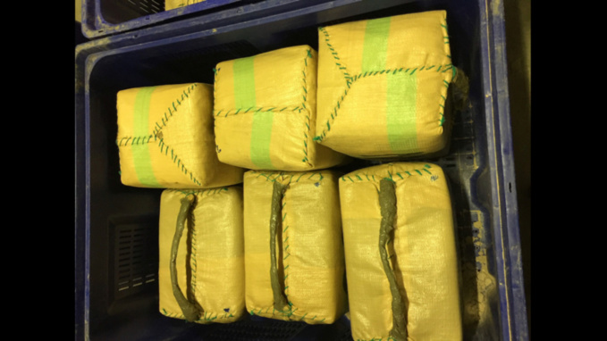 La drogue était conditionnée dans des sacs en tissu plastifié (Photo©FDouane Française) La drogue était conditionnée dans des sacs en tissu plastifié (Photo©FDouane Française)
