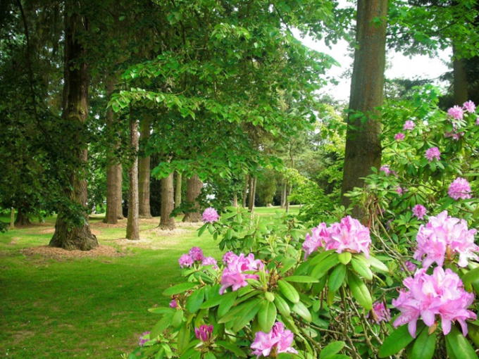 (Photo©Normandie-tourisme.fr) (Photo©Normandie-tourisme.fr)