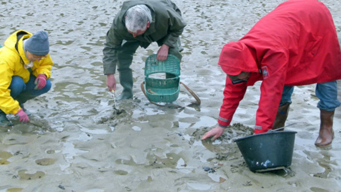 Le préfet maritime invite les pêcheurs à pied à redoubler de vigilance (Illustration) Le préfet maritime invite les pêcheurs à pied à redoubler de vigilance (Illustration)