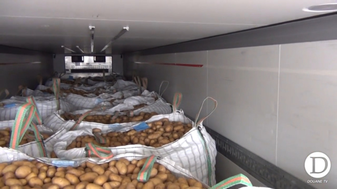 La drogue, près de 1,2 tonne, était dissimulée dans des sacs parmi le chargement de pommes de terre (Capture d'écran @ douane)