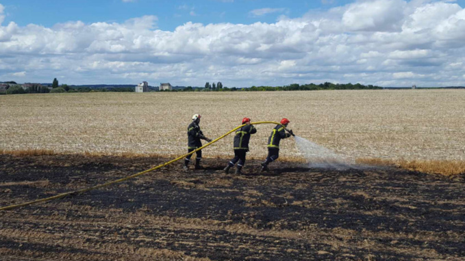 1 hectare de lin détruit par un incendie accidentel dans un champ à Bourville 