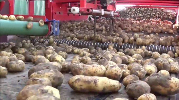 Illustration @ Youtube Illustration @ Youtube