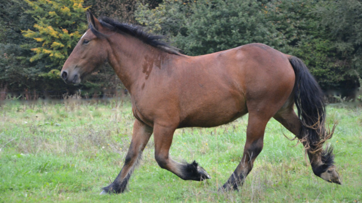 Illustration © Pixabay Illustration © Pixabay