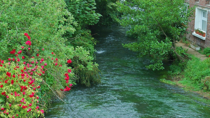 La rivière l’Eaulne traverse le Pays de Bray et le Petit Caux (Illustration @ Wikipedia)