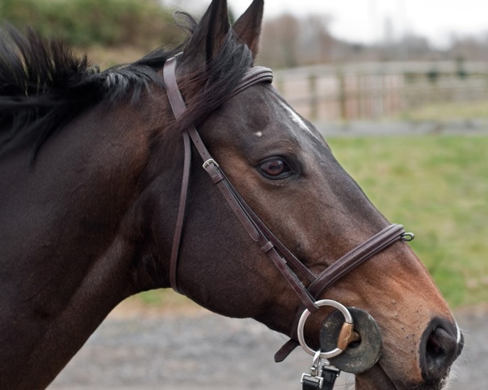 Illustration © Pixabay Illustration © Pixabay