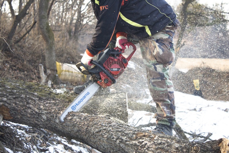 Seine-Maritime : tué par la chute d'un arbre lors d'une opération d'abattage à Etalonde