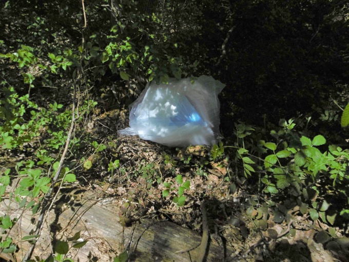 Eure : il se débarrasse d'un sac d’immondices dans un bois, le « pollueur » encourt jusqu'à 750€ d'amende