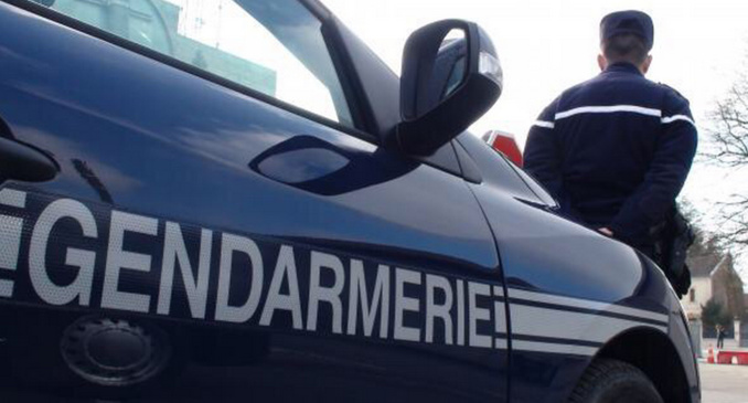 Sept gendarmes ont été mobilisés sur cette opération - Illustration