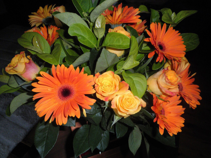 Illustration @ Pixabay Illustration @ Pixabay