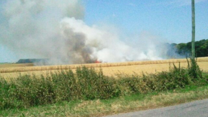 Illustration Illustration