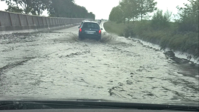 illustration illustration