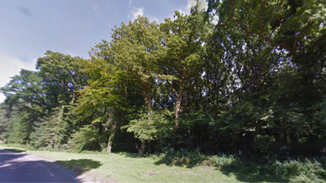 La forêt de Montgeon - Illustration La forêt de Montgeon - Illustration