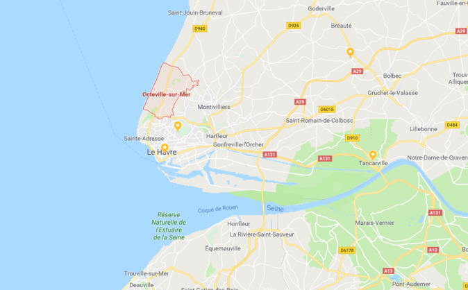 Un chien sauvé par les pompiers après une chute de la falaise à Octeville-sur-Mer Un chien sauvé par les pompiers après une chute de la falaise à Octeville-sur-Mer