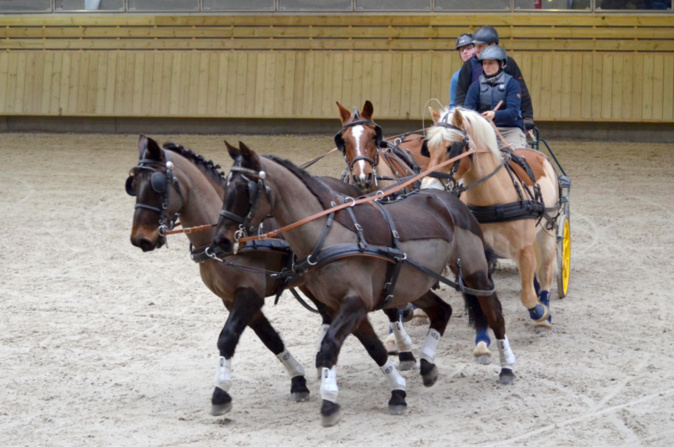 Soixante-trois participants sont annoncés par les organisateurs