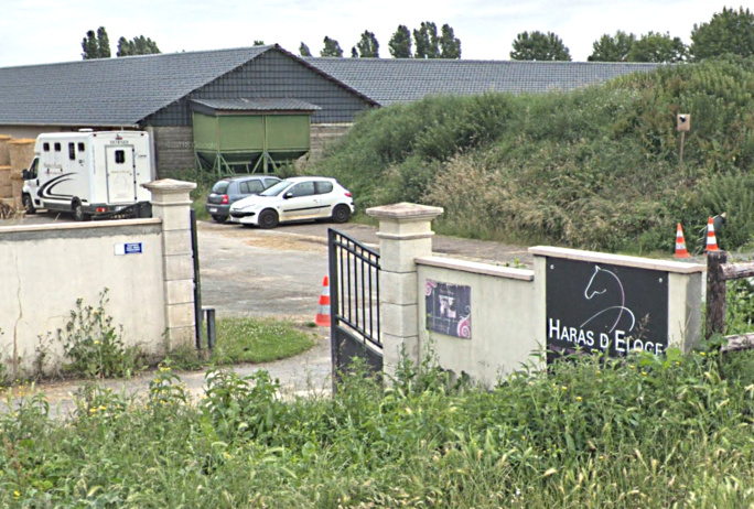 Le haras a été saccagé dans la nuit - Illustration Le haras a été saccagé dans la nuit - Illustration