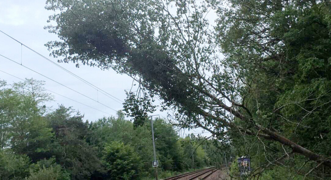 Un train a heurté un arbre couché sur la voie entre Conches-en-Ouche et Romilly-la-Puthenaye et a endommagé une caténaire  - Photo@ SNCF /Twitter