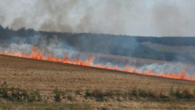 Feu de chaume à Vatteville (Eure) : les sapeurs-pompiers sont sur place 