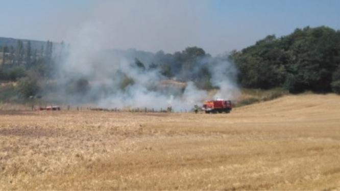 Feu de chaume à Vatteville (Eure) : les sapeurs-pompiers sont sur place Feu de chaume à Vatteville (Eure) : les sapeurs-pompiers sont sur place
