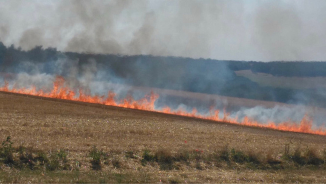 Le champ de chaume a été dévasté par les flammes - Illustration @ infonormandie