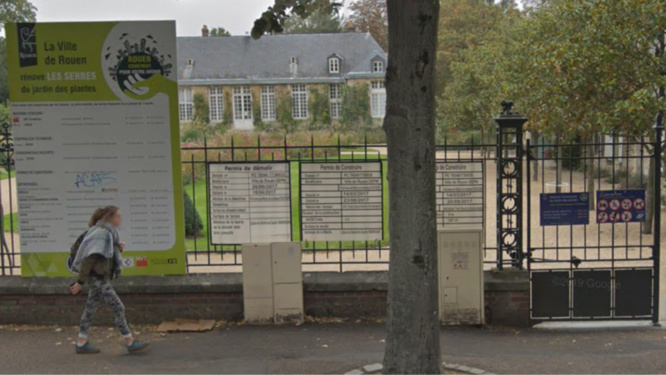 Le jardin des Plantes - illustration Le jardin des Plantes - illustration