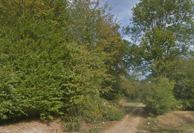 Eure : un homme décède d’un arrêt cardiaque en forêt de Bord-Louviers
