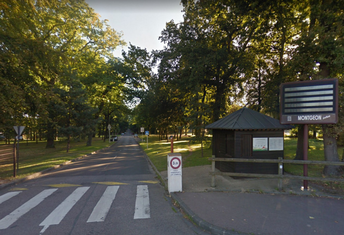 Le quinquagénaire promenait son chien en forêt lorsqu'il a été braqué - illustration Le quinquagénaire promenait son chien en forêt lorsqu'il a été braqué - illustration