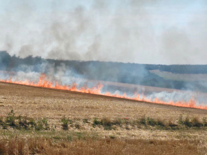 Seine-Maritime : 5 hectares de chaume ravagés par les flammes dans le Pays de Bray