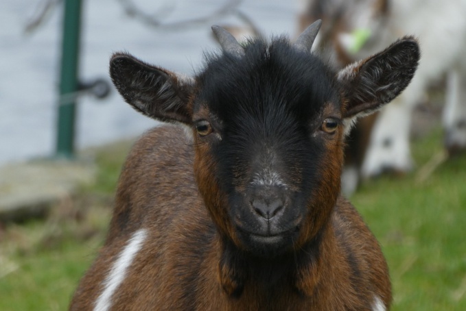 Illustration © Pixabay Illustration © Pixabay