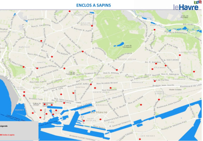 Le Havre recycle les sapins de Noël : 37 points de collecte mis en place dans toute la ville Le Havre recycle les sapins de Noël : 37 points de collecte mis en place dans toute la ville