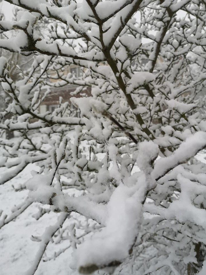 La Normandie se recouvre d’un manteau blanc : prudence sur la route La Normandie se recouvre d’un manteau blanc : prudence sur la route