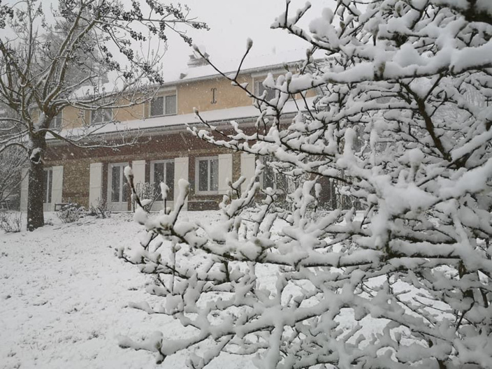 La Normandie se recouvre d’un manteau blanc : prudence sur la route La Normandie se recouvre d’un manteau blanc : prudence sur la route