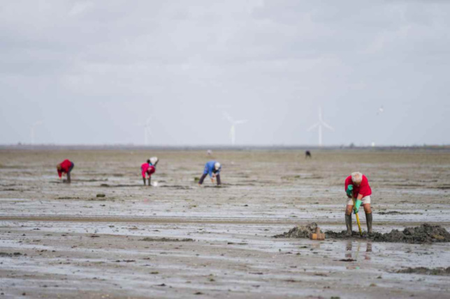 La préfecture maritime met en garde les pêcheurs à pied et les promeneurs - illustration @ iStock La préfecture maritime met en garde les pêcheurs à pied et les promeneurs - illustration @ iStock