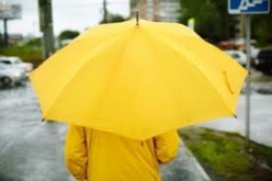 L'an dernier, quelque 800 parapluies ont été distribués en Seine-Maritime