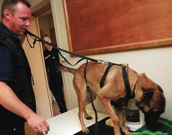 Le chien policier a permis la saisie de billets en petites coupures et de produits stupéfiants - illustration