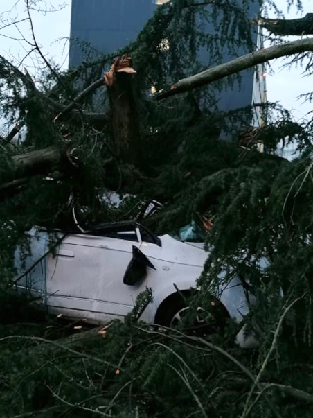 La tempête a fait des dégâts : ici à Mont-Saint-Aignan - Photos transmises par un lecteur Olivier G.