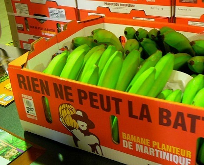 La poudre blanche était dissimulée dans les parois des cartons de bananes (Photo d'illustration)