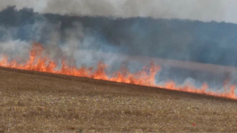 A Manthelon, près de Mesnils-sur-Iton, 15 hectares de récoltes sur pied ont brûlé hier en fin d'après-midi - Illustration © infoNormandie