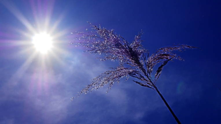 L’ensoleillement et les fortes chaleurs sont à l’origine de la pollution à l’ozone - illustration @ Pixabay