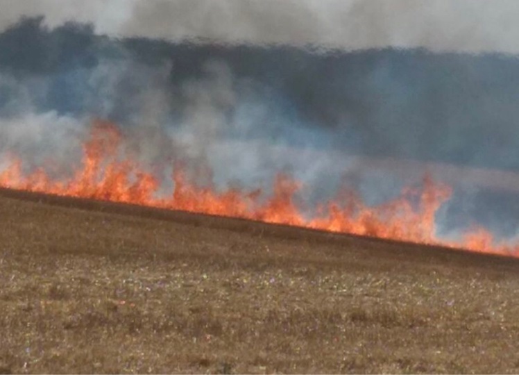 1 ha de blé sur pied et 1 ha de chaume ont été détruits par le feu cet après-midi dans deux communes du Pays de Caux - illustration @ infoNormandie
