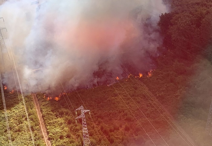 Huit engins de lutte contre les feux de forêt ont été dépêchés sur les lieux de l'incendie - Photo © Sdis76/Twitter